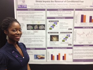 Temidayo Orederu reports on stress and reversal learning