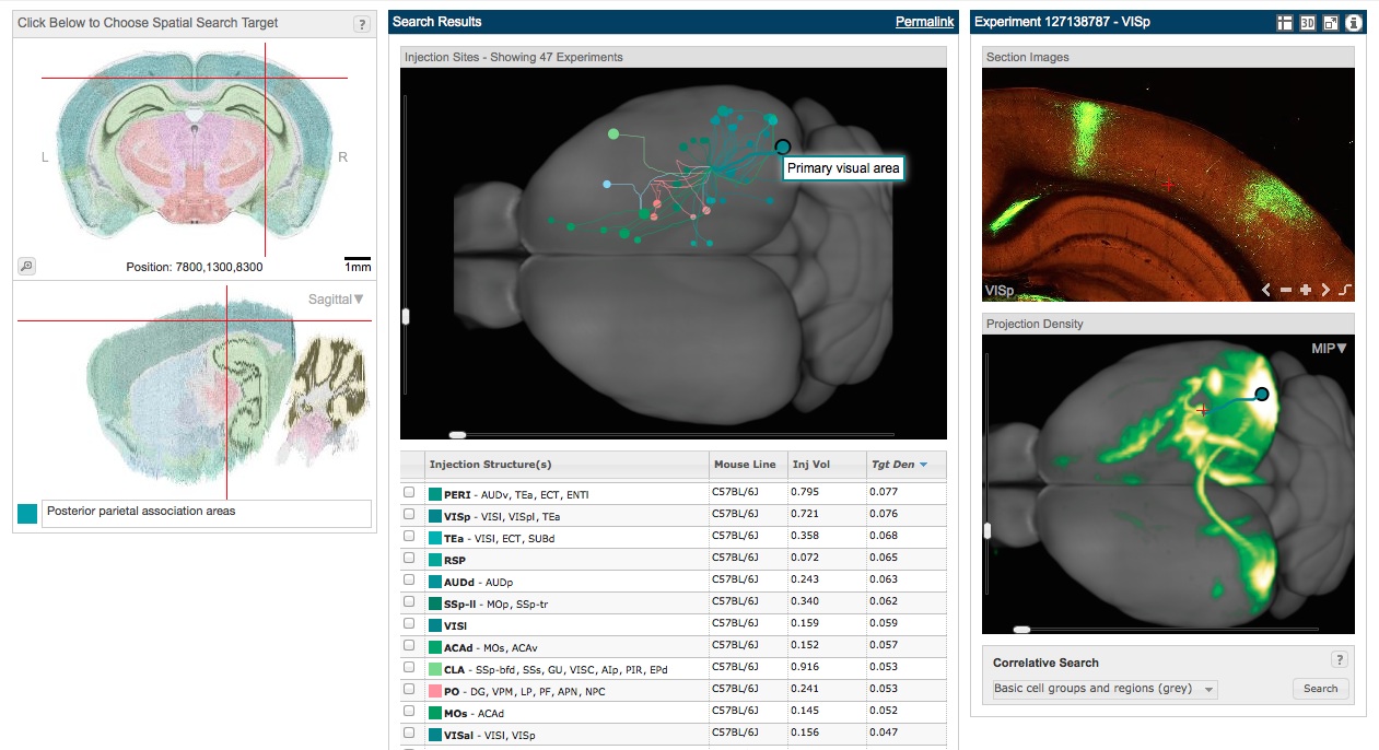 allenbrainppc.jpg?w=640