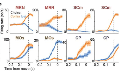 Screenshot 2019-11-14 15.54.07.png