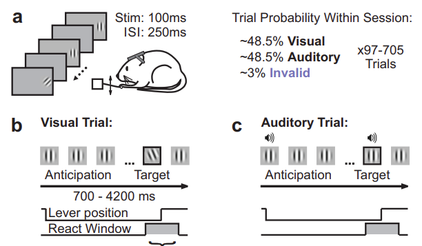 Screenshot 2020-02-13 16.02.12