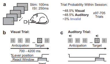 Screenshot 2020-02-13 16.02.12