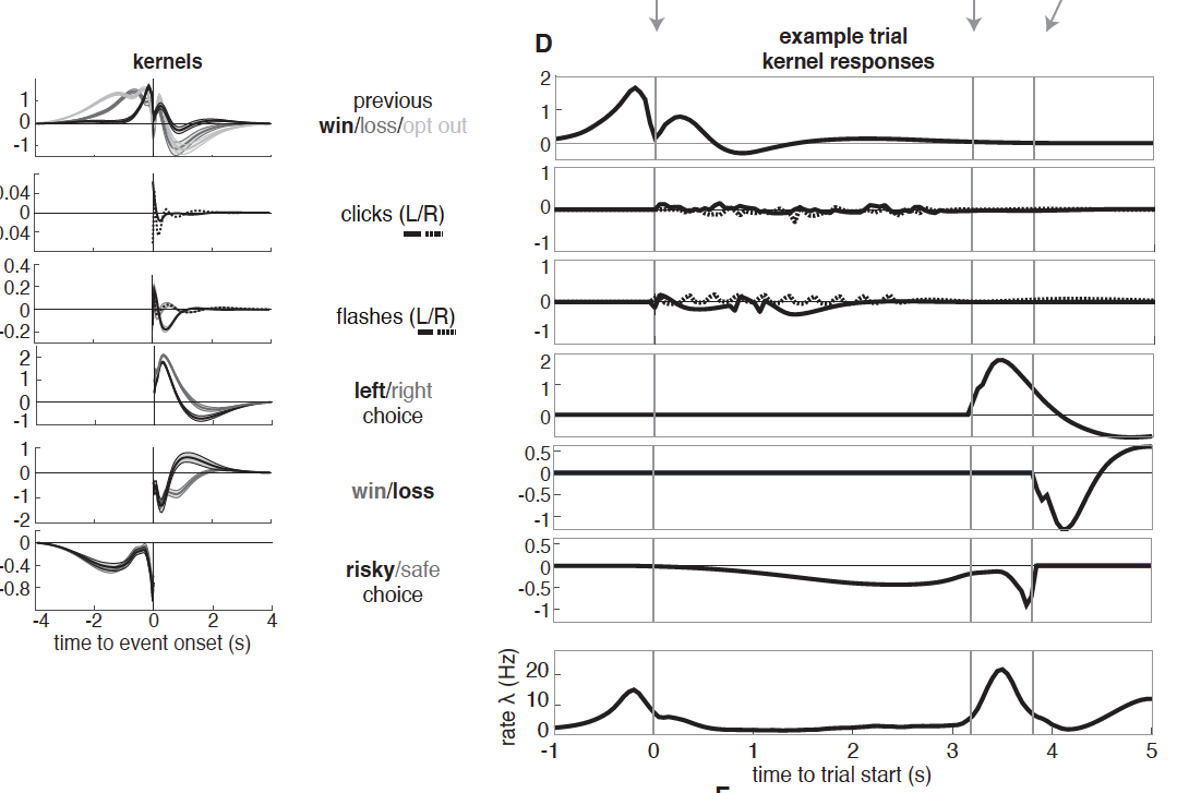 Screen Shot 2021-08-16 at 11.12.23 AM
